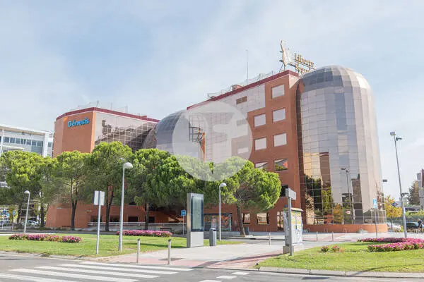 Oficina alquiler Madrid. Paseo Doce Estrellas. Campo de las Naciones.