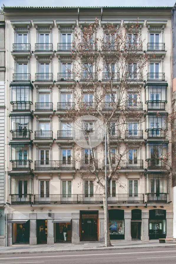 Oficina alquiler Madrid. Calle Serrano, Barrio Salamanca