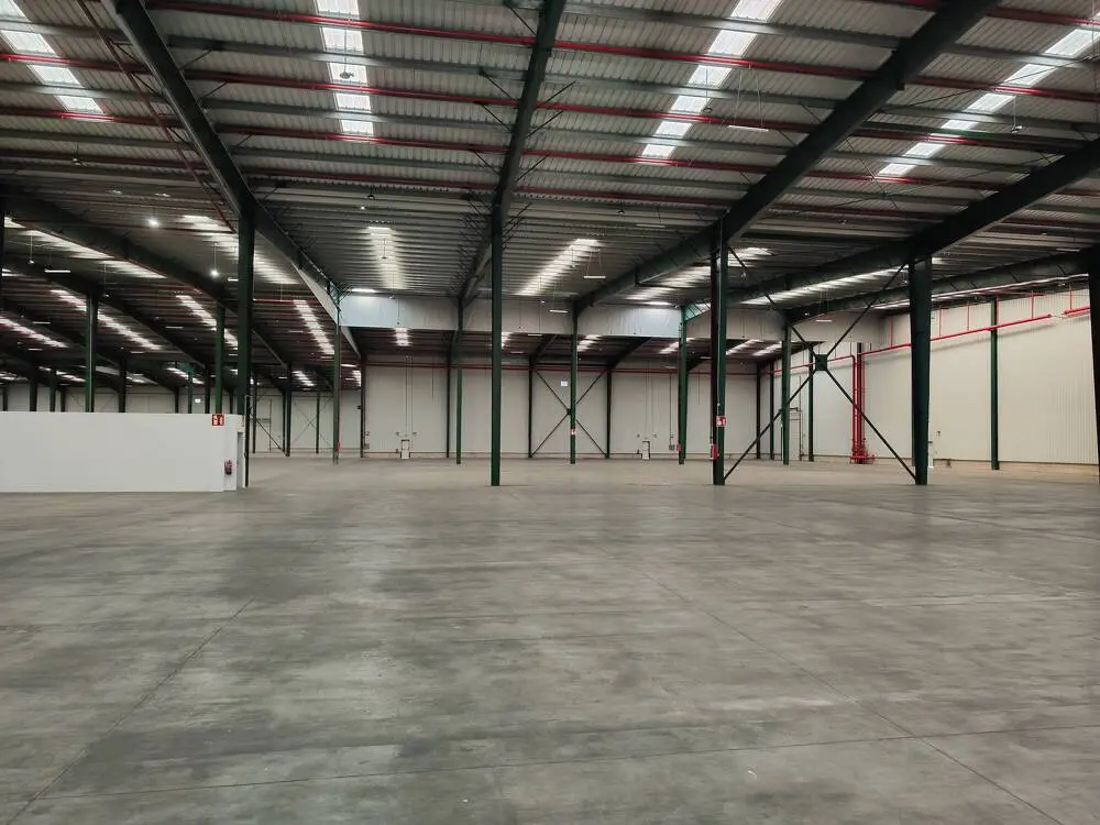 Logistics warehouse for rent of 16,259 m² - Azuqueca de Henares, Guadalajara. 13